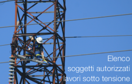 4° Elenco soggetti autorizzati per lavori sotto tensione 4° Elenco soggetti autorizzati per lavori sotto tensione