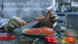 Regolamento (CE) N. 178/2002