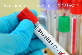 Regolamento di esecuzione (UE) 2021/620