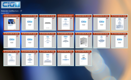 Raccolta Linee Guida CIG Agosto 2017 Raccolta Linee Guida CIG Agosto 2017