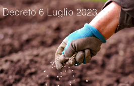 Decreto 6 luglio 2023