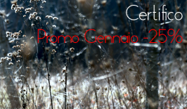 Store Certifico: Promo -25% fino al 31 Gennaio Store Certifico: Promo -25% fino al 31 Gennaio