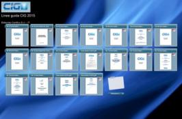 Raccolta Linee Guida CIG Luglio 2015 Raccolta Linee Guida CIG Luglio 2015