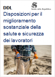 Bozza di DDL Revisione Testo Unico Sicurezza D.Lgs. 81/2008 Bozza di DDL Revisione Testo Unico Sicurezza D.Lgs. 81/2008