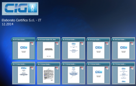 Raccolta Linee Guida CIG Dicembre 2014 Raccolta Linee Guida CIG Dicembre 2014