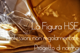 Il Progetto di norma UNI sulla figura HSE Il Progetto di norma UNI sulla figura HSE