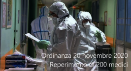 Ordinanza 20 novembre 2020
