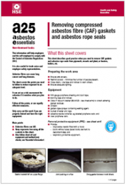 Rischio amianto: Raccolta schede HSE Rischio amianto: Raccolta schede HSE