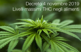 Decreto Ministero della Salute 4 novembre 2019 