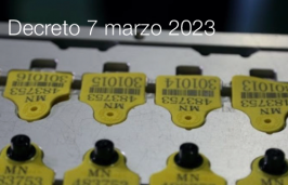 Decreto 7 marzo 2023 