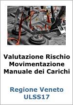 Rischio movimentazione manuale dei carichi AULSS Veneto Rischio movimentazione manuale dei carichi AULSS Veneto