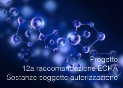 Progetto 12a raccomandazione ECHA | Alleg. XIV REACH 