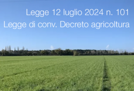 Legge 12 luglio 2024 n. 101 