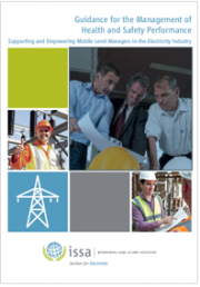 Guidance for the Management of Health and Safety Performance Guidance for the Management of Health and Safety Performance