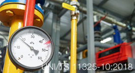 UNI/TS 11325-10:2018 UNI/TS 11325-10:2018