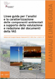 Linee guida analisi component ambientali VAS Linee guida analisi component ambientali VAS