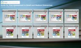 Raccolta Guide Valutazione dei Rischi PMI Raccolta Guide Valutazione dei Rischi PMI