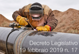 D.Lgs. 19 febbraio 2019 n. 17 