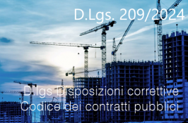 Decreto Legislativo 31 dicembre 2024 n. 209