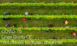 COVID-19: Linee Guida CE mobilità dei lavoratori stagionali