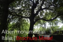 Alberi monumentali Italia: Brochure Masaf