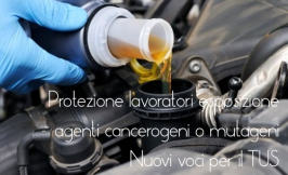 Nuove voci protezione lavoratori agenti cancerogeni Nuove voci protezione lavoratori agenti cancerogeni