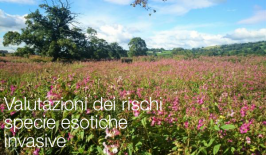 Regolamento Delegato (UE) 2018/968 Regolamento Delegato (UE) 2018/968