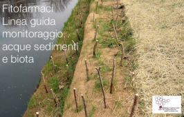Fitofarmaci Linea guida monitoraggio acque sedimenti e biota Fitofarmaci Linea guida monitoraggio acque sedimenti e biota