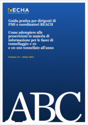 Guida pratica per dirigenti di PMI e coordinatori REACH Guida pratica per dirigenti di PMI e coordinatori REACH