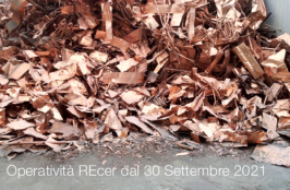 Operatività del REcer dal 30 Settembre 2021