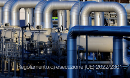 Regolamento di esecuzione (UE) 2022/2301