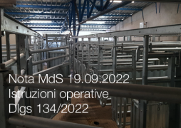 Nota MdS 19.09.2022 / Prime istruzioni operative Dlgs 134/2022