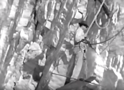 I cavatori di pietra - Carrara