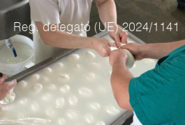 Regolamento delegato (UE) 2024/1141