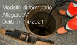 Modello di formulario - allegato 