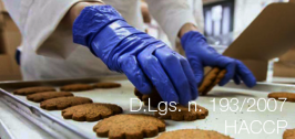 D.Lgs. 6 novembre 2007 n. 193 