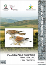 Piano d’azione nazionale per il Grillaio (Falco naumanni) Piano d’azione nazionale per il Grillaio (Falco naumanni)