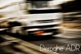 Decisione di esecuzione (UE) 2015/217 Decisione di esecuzione (UE) 2015/217