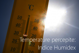 Temperature percepite: Indice Humidex Temperature percepite: Indice Humidex