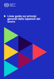 Linee guida sui principi generali delle ispezioni del lavoro