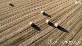 Ferragosto 2016 Ferragosto 2016