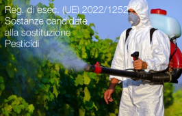 Regolamento di esecuzione (UE) 2022/1252