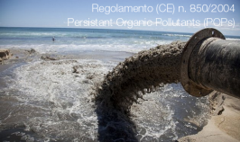 Regolamento CE 850/2004 (POPs) Regolamento CE 850/2004 (POPs)