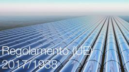 Regolamento (UE) 2017/1938 Regolamento (UE) 2017/1938
