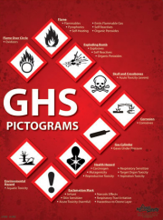 GHS e Raccomandazioni ONU trasporto merci percicolose GHS e Raccomandazioni ONU trasporto merci percicolose