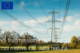 Infrastrutture di trasmissione dell'energia e normativa dell'UE sulla natura Infrastrutture di trasmissione dell'energia e normativa dell'UE sulla natura