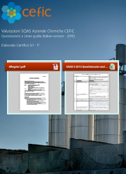 Valutazioni SQAS Aziende Chemical Distribution - CEFIC Valutazioni SQAS Aziende Chemical Distribution - CEFIC