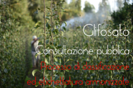 Consultazione pubblica ECHA sulla classificazione GLIFOSATO Consultazione pubblica ECHA sulla classificazione GLIFOSATO