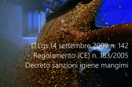 Decreto legislativo 14 settembre 2009 n. 142
