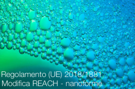 Regolamento (UE) 2018/1881